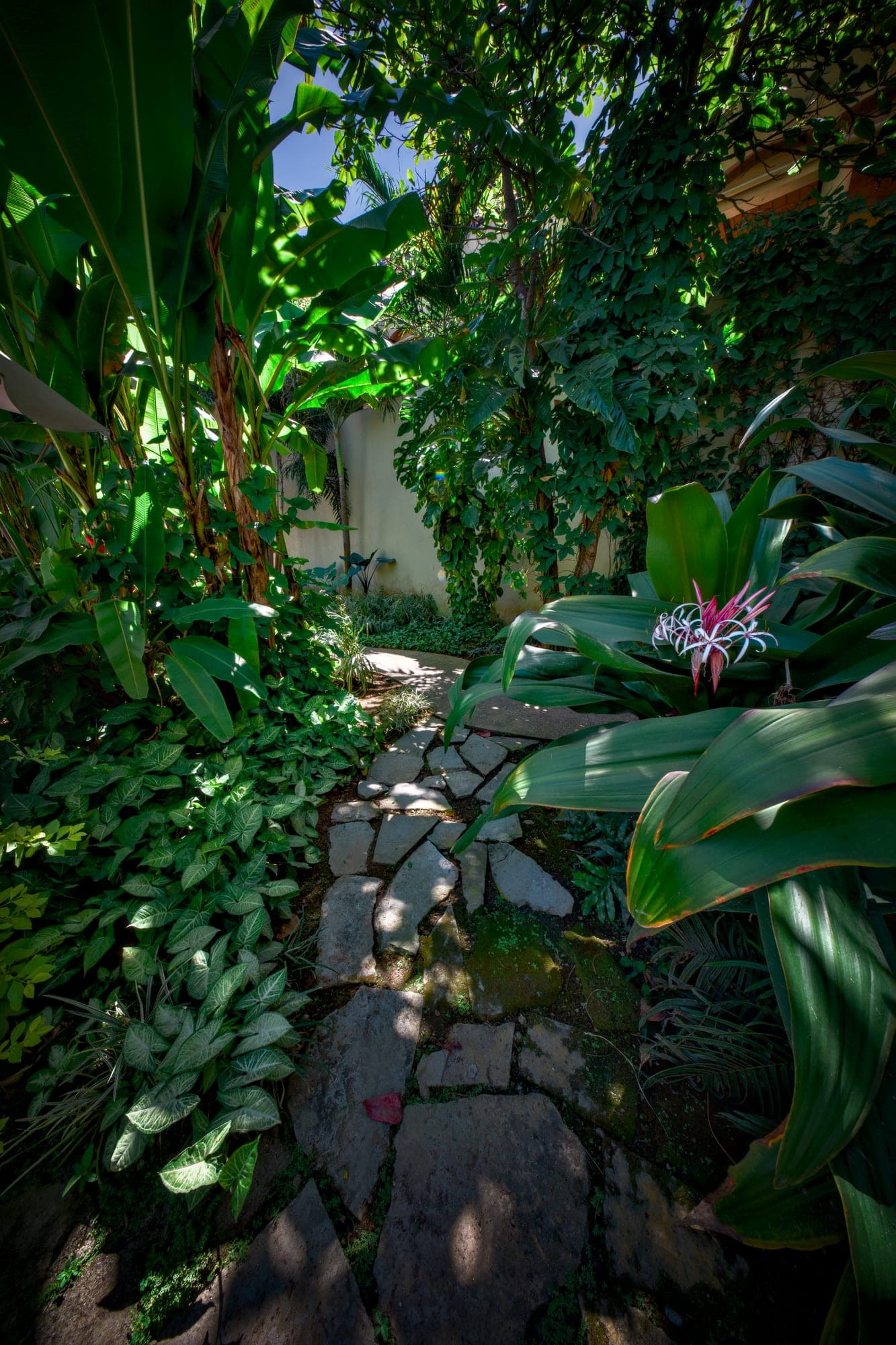 Sendero de piedra entre los jardines tropicales de Los Gallos