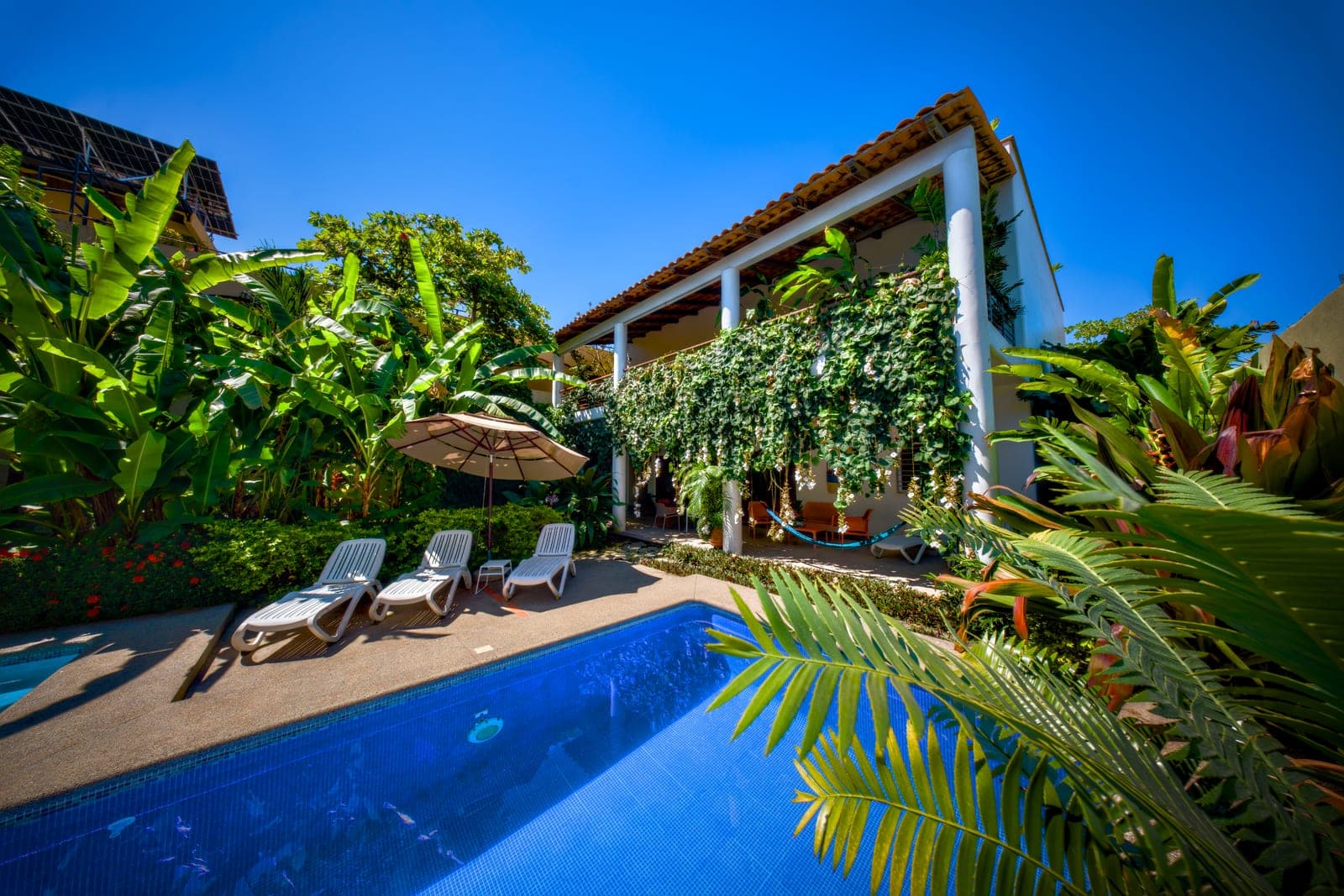 Alberca y jardín tropical de Los Gallos en Lo de Marcos