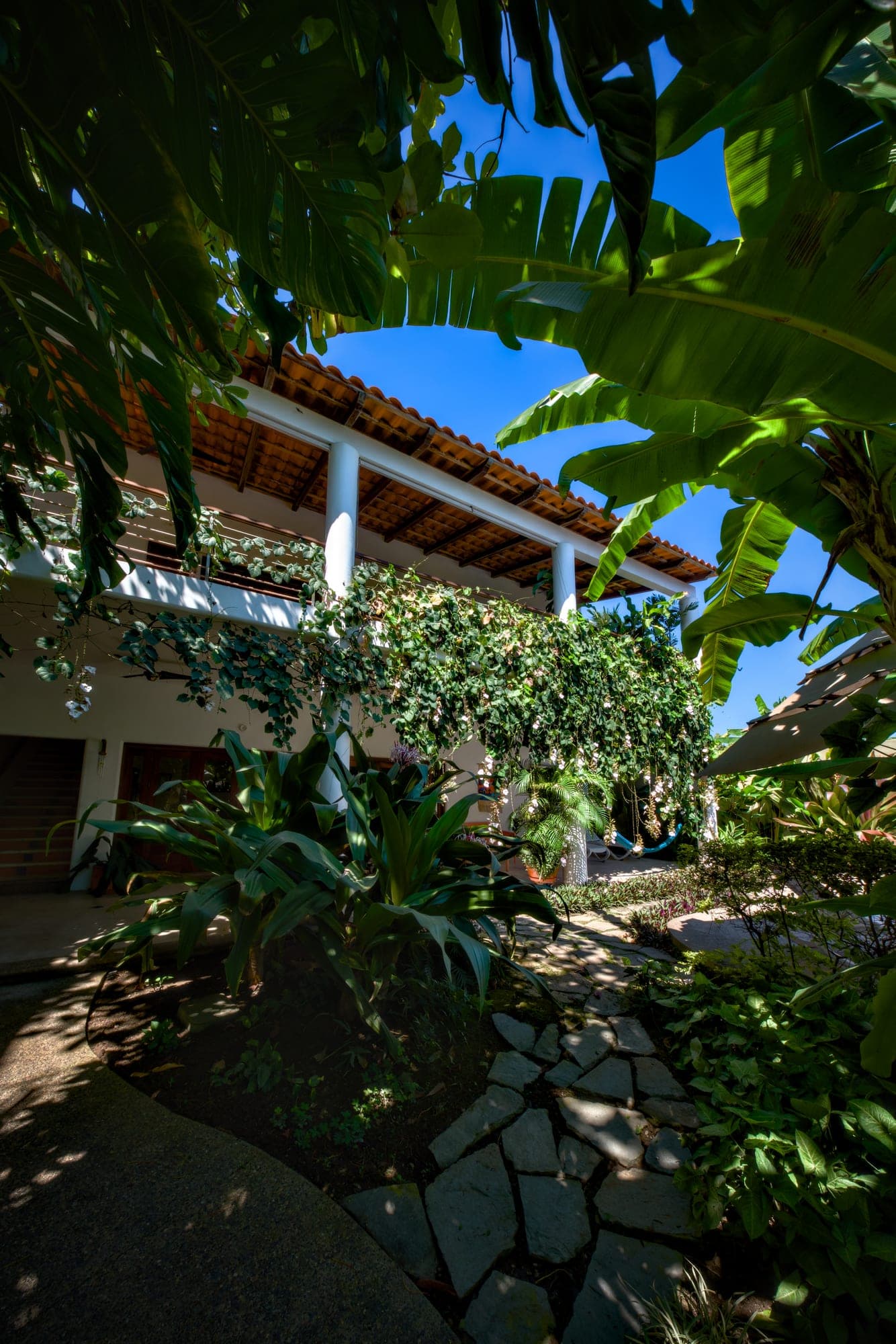 Sendero del jardín y arquitectura tropical de Los Gallos en Lo de Marcos